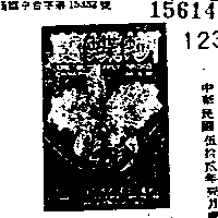 蝴蝶蘭（墨色）