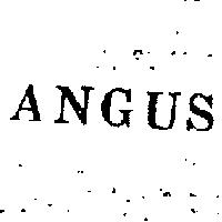 喬治安格斯有限公司 ＡＮＧＵＳ    （墨色）