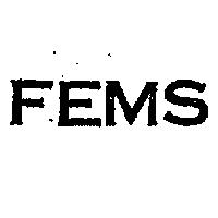 金百利克拉克股份有限公司 ＦＥＭＳ    （墨色）