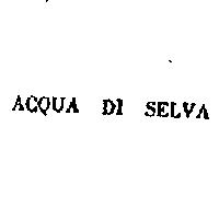 得力亞公司 ＡＣＱＵＡ  ＤＩ  ＳＥＬＶＡ    （墨色）