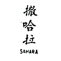 陳平 撒哈拉ＳＡＨＡＲＡ    （墨色）