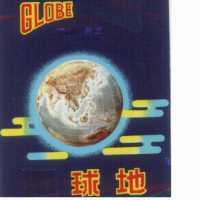 地球及圖GLOBE（彩色）