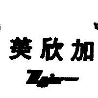 美欣加MAJOR（墨色）