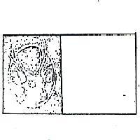 金鹿有限公司 鹿頭及圖（一）（綠色）