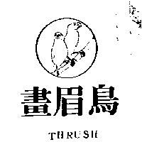 畫眉鳥及圖THRUSH（墨色）
