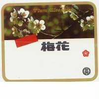 梅花及圖PLUM BLOSSOMS