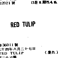 吉百利企業有限公司 ＲＥＤ  ＴＵＬＩＰ