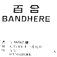 百合BANDHERE