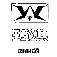 瑋淇及圖WISHER