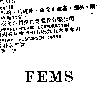 金百利克拉克股份有限公司 ＦＥＭＳ