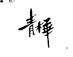 青樺