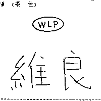 維良WLP