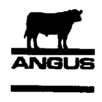 美國安格斯協會 ANGUS & Device