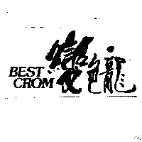 變色龍企業有限公司 變色龍BESTCROM