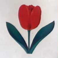 花圖