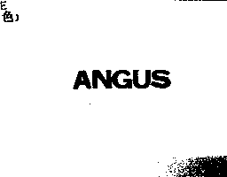 安格斯消防有限公司 ANGUS