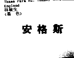 安格斯消防有限公司 安格斯(ANGUS in Chinese characters)