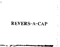 羅斯百利投資公司 REVERS-A-CAP