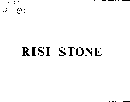 羅斯百利投資公司 RISI STONE