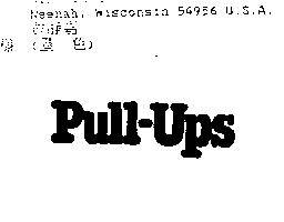 金百利克拉克國際公司 PULL-UPS