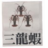 三龍蝦及圖