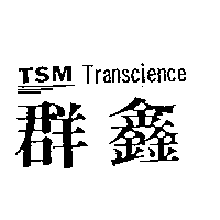 群鑫及圖TSM TRANSCIENCE