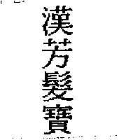 漢芳髮寶