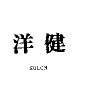 洋健SOLON