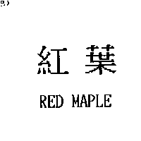 護傘企業股份有限公司 紅葉RED MAPLE