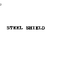 艾斯迪艾斯企業公司 STEEL SHIELD