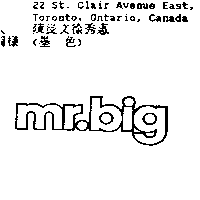 甘百利崔柏艾倫公司 MR. BIG (stylized)