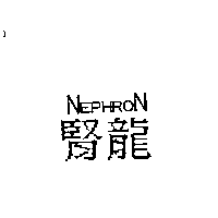腎龍NEPHRON