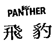 飛豹及PANTHER 設計圖