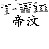 T-WIN帝汶