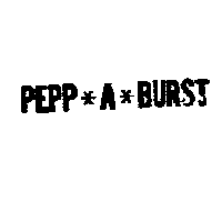 坎德百利有限公司 PEPP*A*BURST