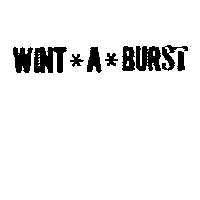 坎德百利有限公司 WINT*A*BURST