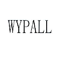 金百利克拉克國際公司 WYPALL