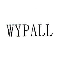 金百利克拉克國際公司 WYPALL