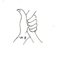 WB及圖