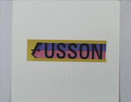 FUSSON設計圖(彩色)