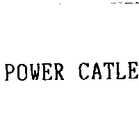 凱得力實業有限公司 POWER CATLE