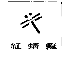 紅蜻蜓及圖