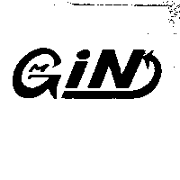 GiN及圖
