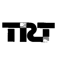 TRT設計字