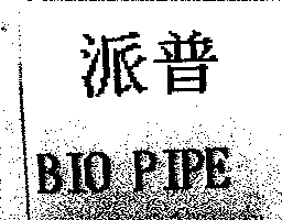 BIO PIPE派普