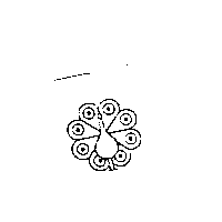 孔雀設計圖