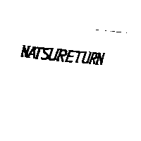 NATSURETURN
