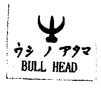 BULL HEAD ウシノアタマ及圖