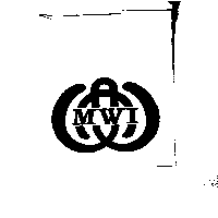 MWI及圖