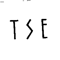 TSE